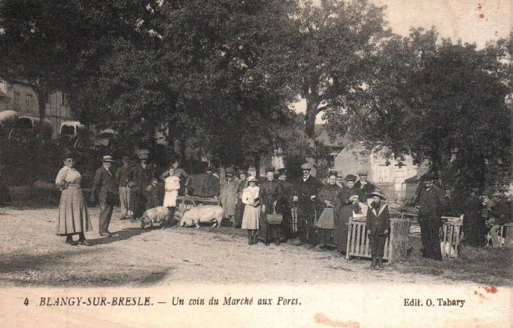 Blangy sur Bresle --  un coin du marché aux porcs