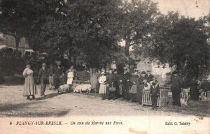 Blangy sur Bresle --  un coin du marché aux porcs